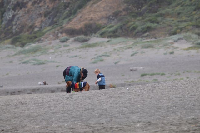 Family Beach Moment with Dog on Foggy Coast