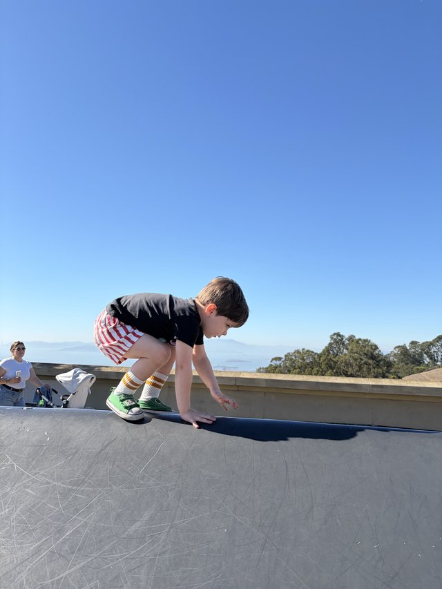 Young Skateboarder Performs Handplant at Skatepark