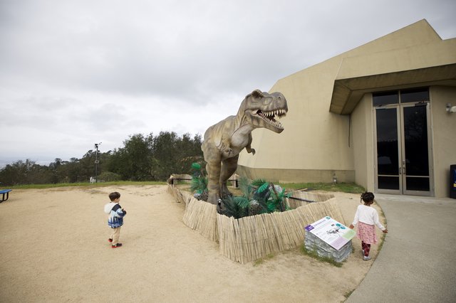 Children Encounter Life-Size T-Rex Dinosaur Exhibit