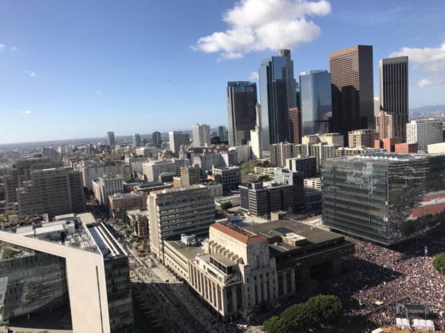 View from the Top of Los Angeles City Hall