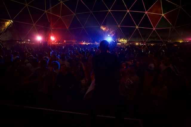 Angel Locsin Rocking Out with a Crowd at Coachella