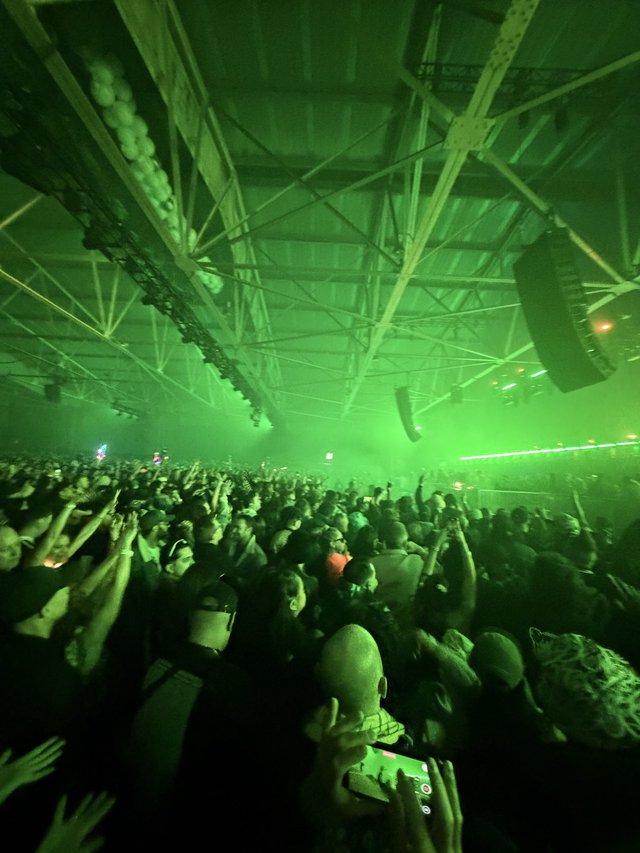 Massive Crowd Under Green Laser Lights at Electronic Music Concert