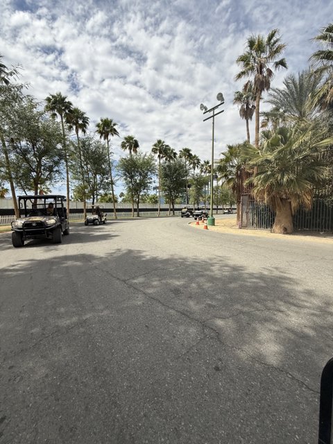 Palm-Lined Streets of Indio