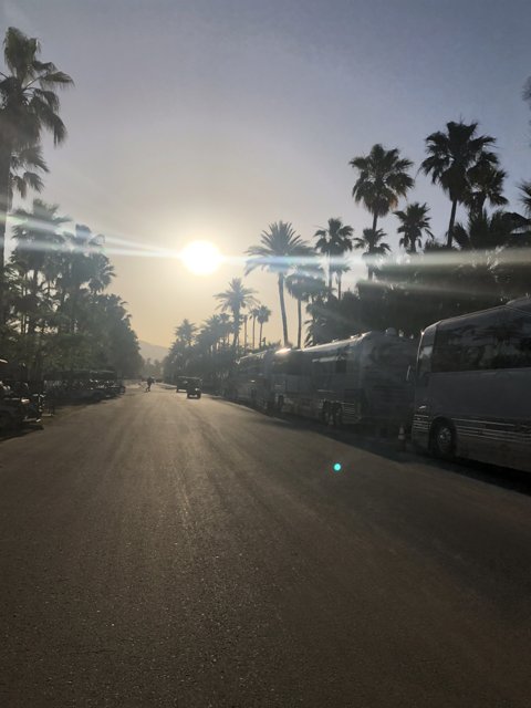 Sunset Drive through Palm Trees