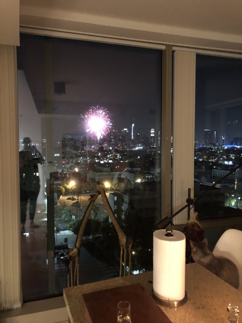 City Lights and Fireworks