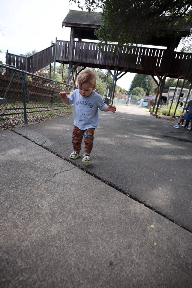 Toddler Walking at Zoo Playground with Wooden Fort