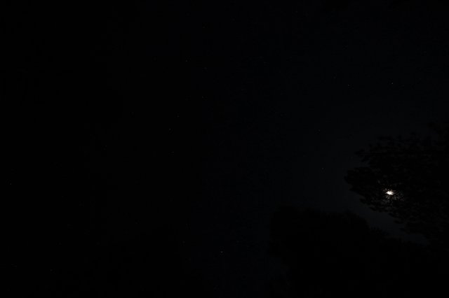 Moonlit Night Sky Over Lassen Volcanic Forest