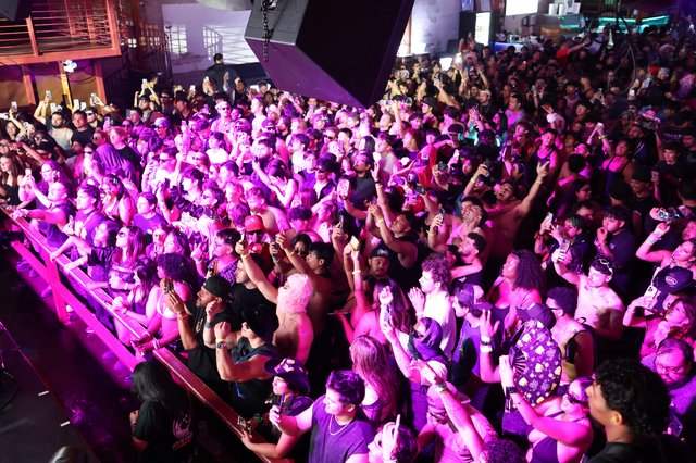 Massive Crowd Surges Under Purple Lights at Wobbleland