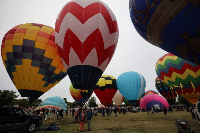 Colorful Hot Air Balloons Fill the Sky at Festival
