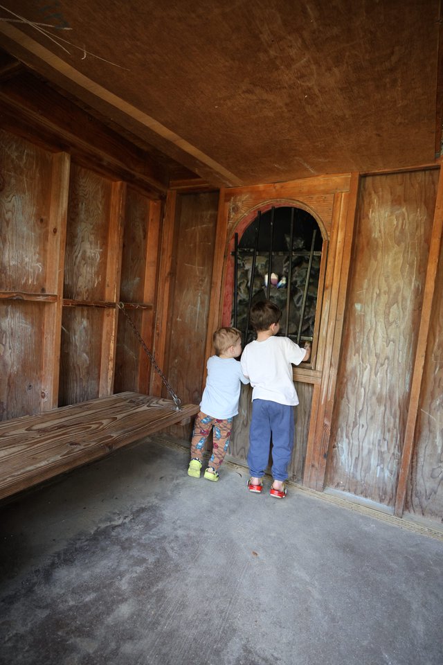 Two Children Peering Through Barred Window at Fantasyland