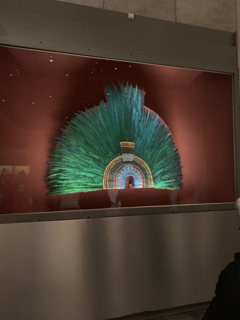 The Displayed Feather