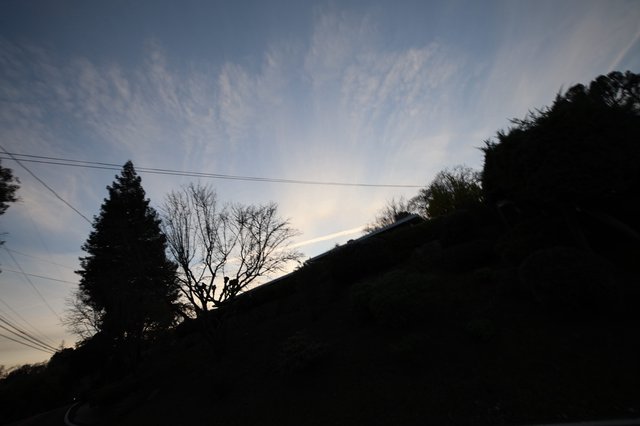 Silhouetted Hillside Trees at Twilight with Power Lines