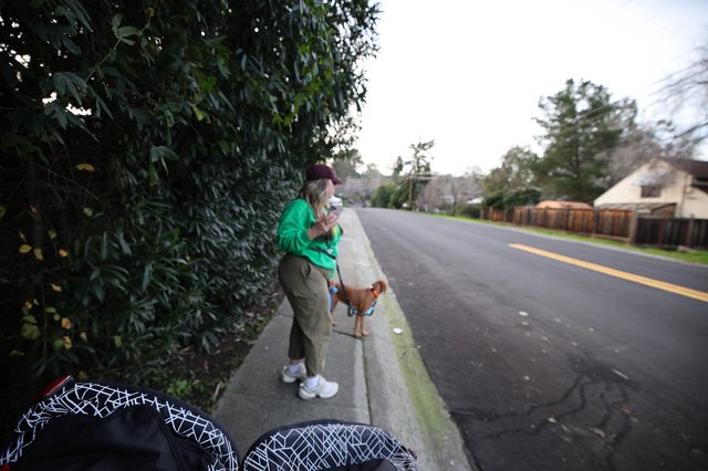 Morning Walk with Coffee and Dog on Suburban Street