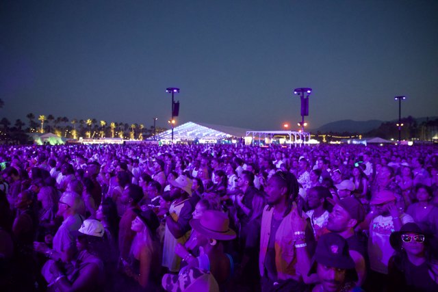 Enthralling Coachella Night: A Sea of Faces Under the Purple Sky