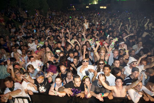 Electric Crowd at EDC 2007