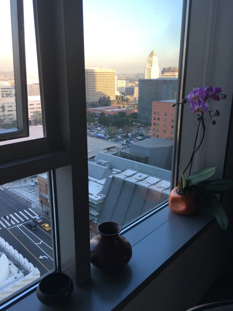 City View Through a Flower-filled Window