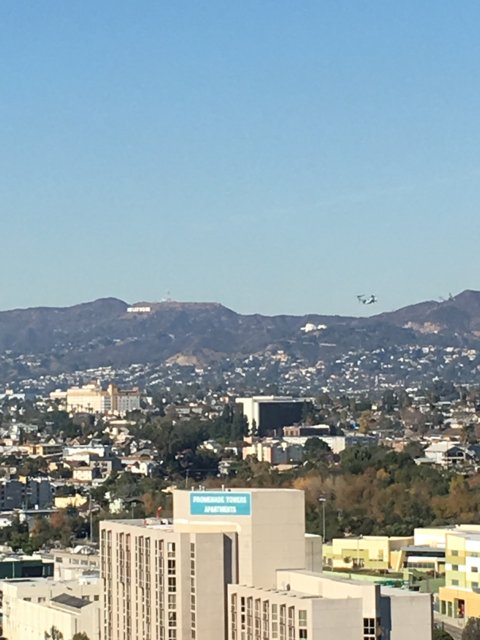 Hollywood Sign Over Cityscape