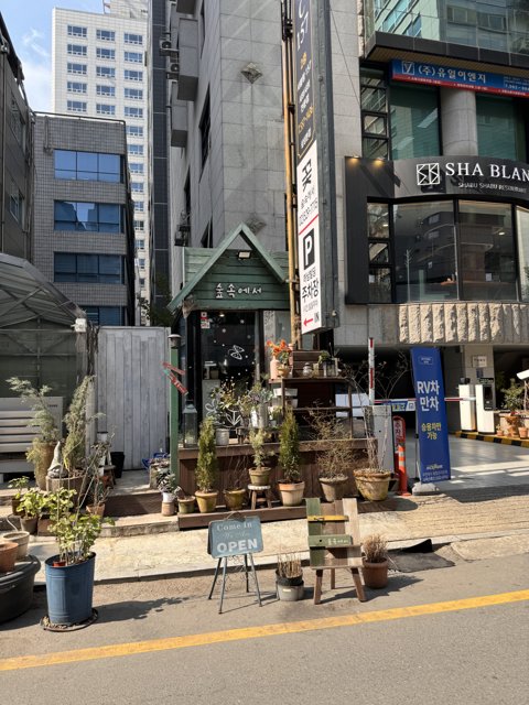 Green Haven in Urban Seoul