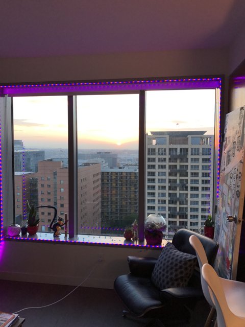 Purple Lights Through the Window