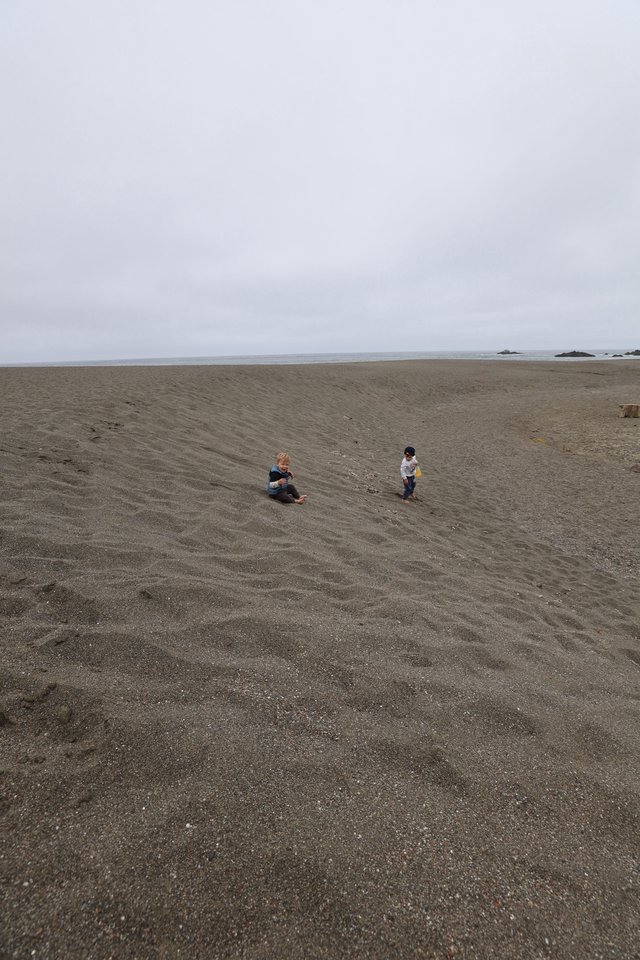 Two Children Playing on a Vast Gray Beach