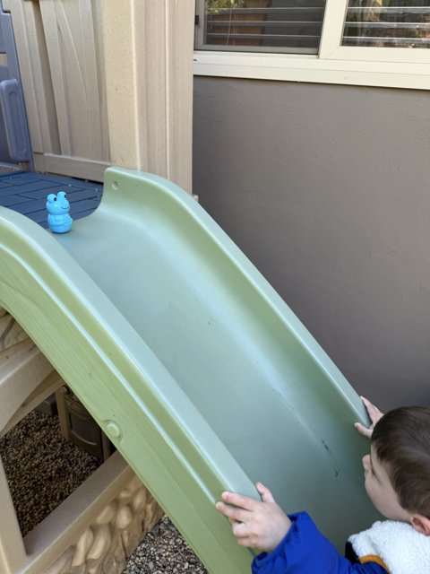 Playful Moments in April