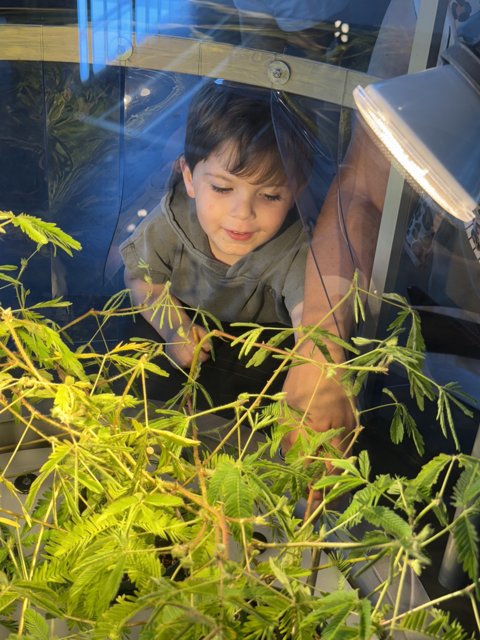 Curious Hearts and Growing Green
