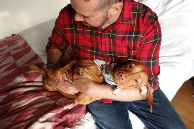 Man Cuddling Red Dachshund on Bed