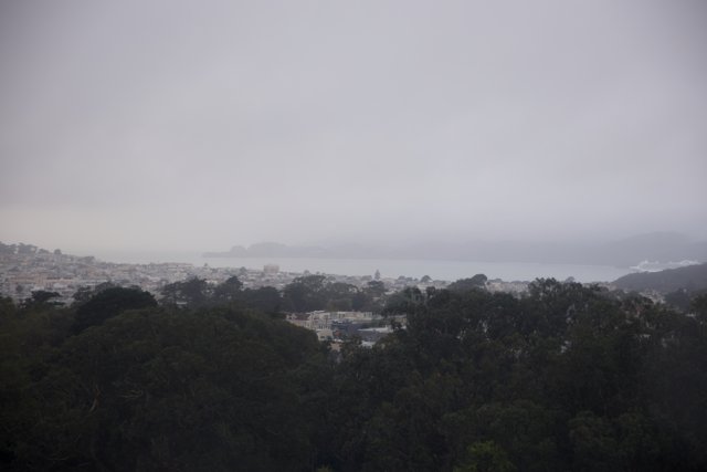 Haze and Halo - Urban Splendor Revealed from Golden Gate Park