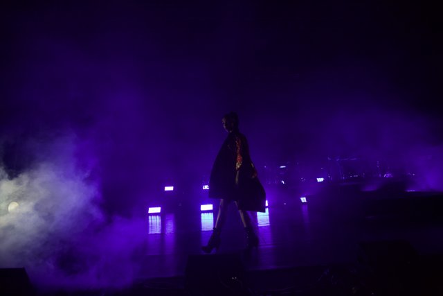 FKA Twigs Steals the Show in Purple Dress