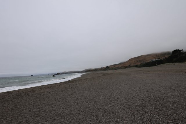 Foggy Coastal Beach on a Gray Summer Day