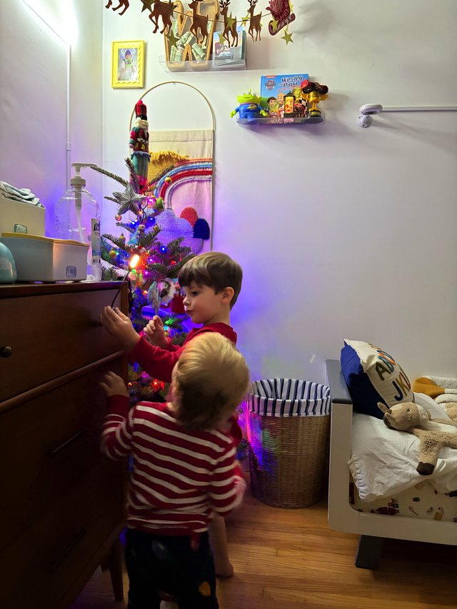 Brothers Decorating Christmas Tree Together in Bedroom