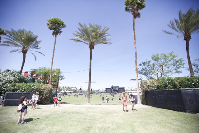 Summer fun at Coachella