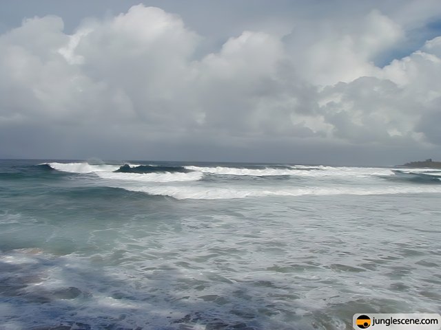 Majestic Ocean Waves at Hawaii Beach