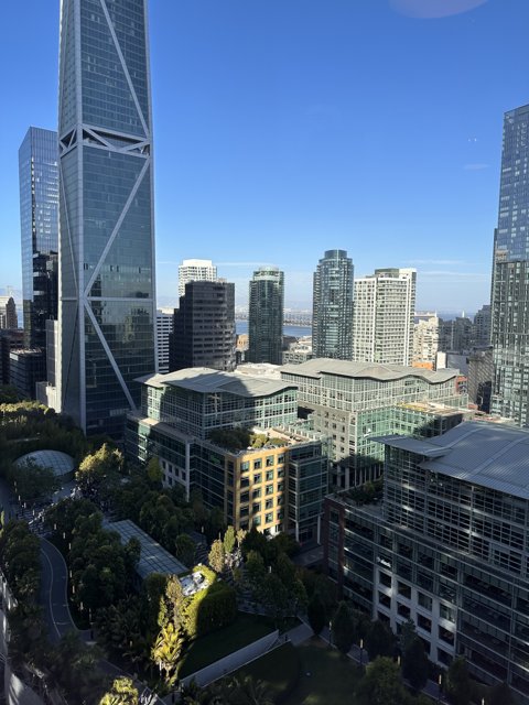 San Francisco Skyscape