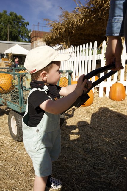 A Day on the Farm: Wesley's Pumpkin Patch Adventure