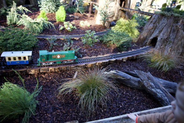 Enchanted Miniature Journey