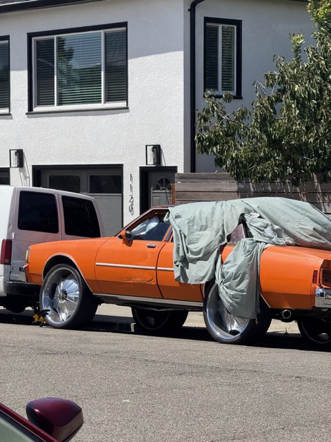 Wheels of Wonder