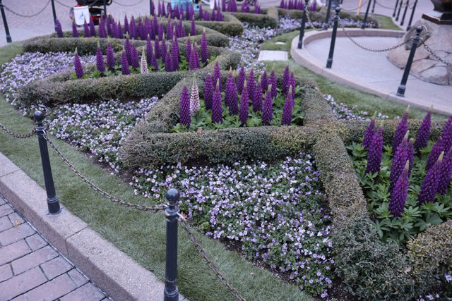 A Scenic View of the Purple Flower Bed at the Garden