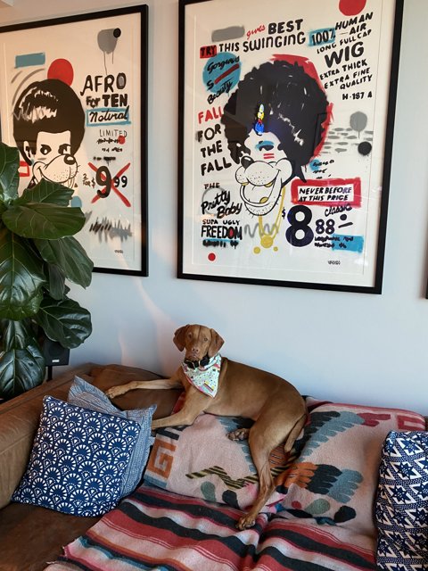Home Decor with a Furry Friend