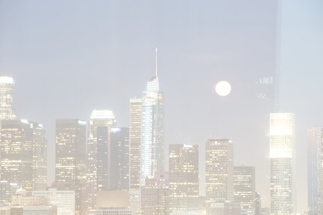 Moonlit Metropolis