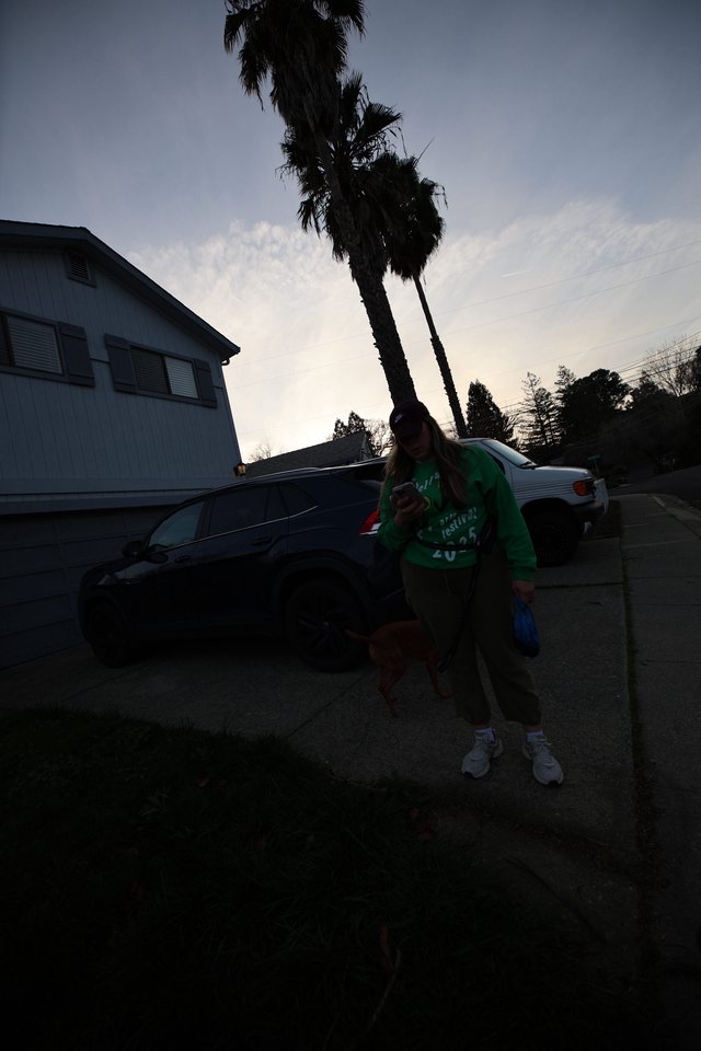 Evening Walk in Suburban California Neighborhood