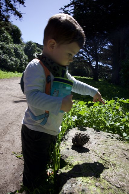 Young Explorer in Golden Gate Park