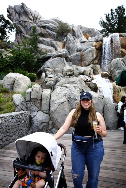 Magical Stroll Through Disneyland