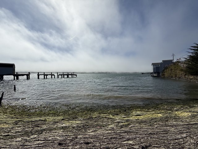 Tranquil Waters of Bodega Bay
