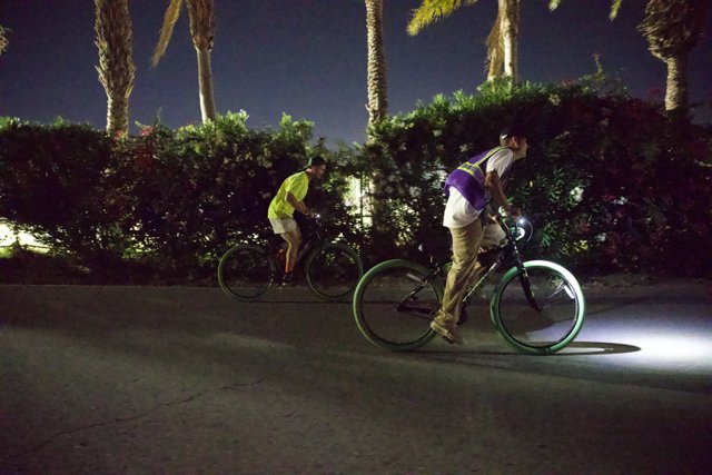 Midnight Cycling under Coachella Palms