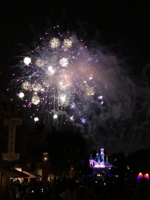 Awed by the Disneyland Fireworks