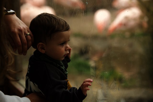 Tender Moments: A Day at the SF Zoo