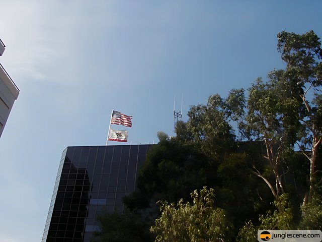 The Flag-Flying Office Building