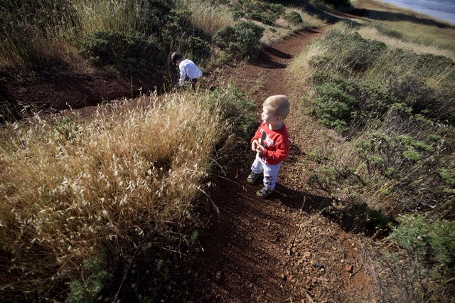 Young Explorers on Mount Diablo's Juniper Canyon Trail