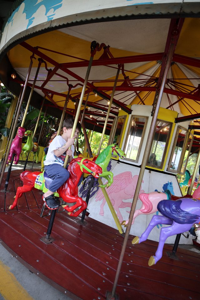 Child Riding Colorful Carousel at Fantasyland